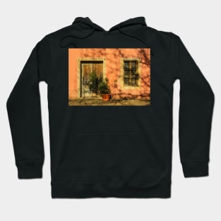 Door and Window in Buzet, Croatia Hoodie